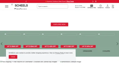 Screenshot of Scheels.com