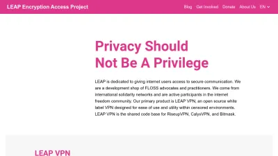 Screenshot of Leap.se