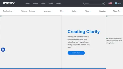 Screenshot of Idexx.com