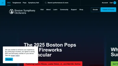 Screenshot preview of bso.org