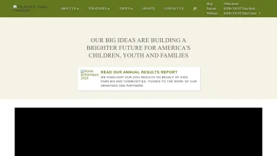 Screenshot of Aecf.org