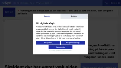 Screenshot of Tvsyd.dk