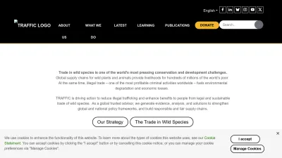 Screenshot of Traffic.org