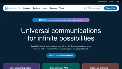 Screenshot preview of bandwidth.com