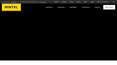 Screenshot of Mintel.com