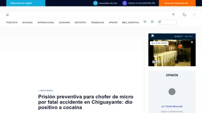 Screenshot of Biobiochile.cl