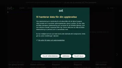 Screenshot preview of svtplay.se
