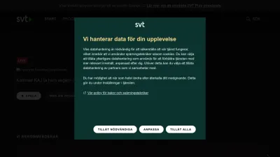 Screenshot of Svtplay.se
