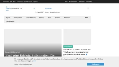 Screenshot of Shn.ch