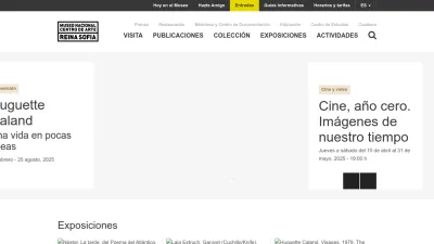 Screenshot of Museoreinasofia.es
