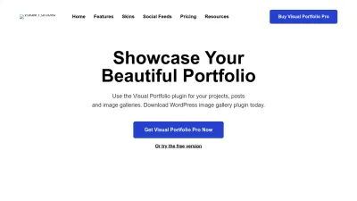 Screenshot of Visualportfolio.co