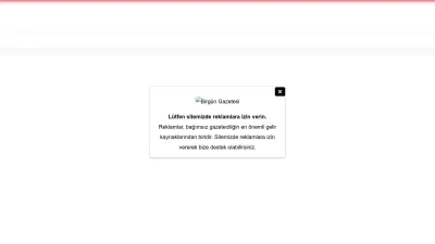 Screenshot of Birgun.net