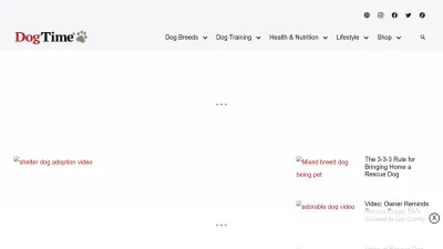 Screenshot of Dogtime.com