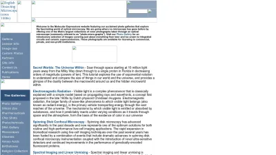 Screenshot of Micro.magnet.fsu.edu