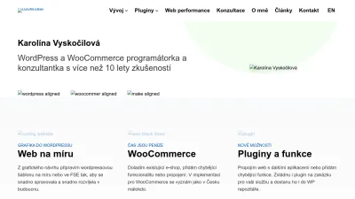 Screenshot of Kybernaut.cz