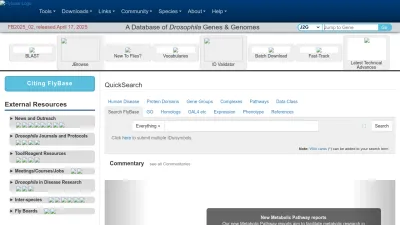 Screenshot of Flybase.org