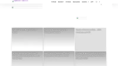 Screenshot of Reefs.com