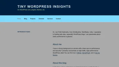 Screenshot of Tinywp.in