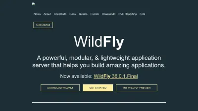 Screenshot of Wildfly.org
