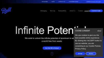 Screenshot preview of ball.com