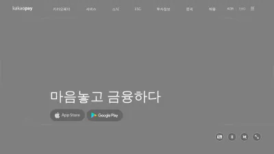 Screenshot preview of kakaopay.com