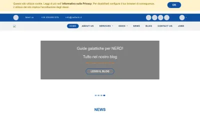 Screenshot preview of netfarm.it