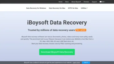 Screenshot of Iboysoft.com