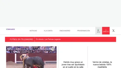 Screenshot of Telemadrid.es
