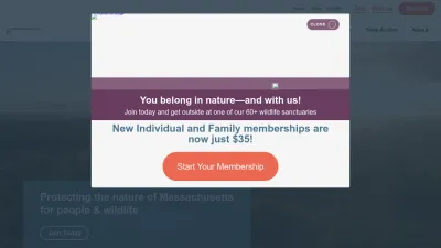 Screenshot of Massaudubon.org