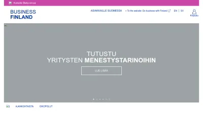 Screenshot preview of businessfinland.fi