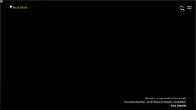 Screenshot of Nikonsmallworld.com