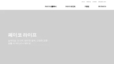 Screenshot of Payco.com