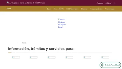 Screenshot of Imss.gob.mx