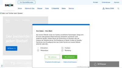 Screenshot of Swm.de