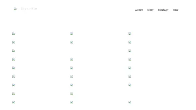 Screenshot of Lucyconklin.com