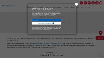 Screenshot of Redstaryeast.com