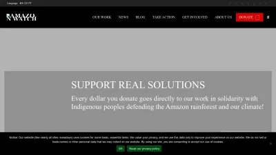 Screenshot of Amazonwatch.org
