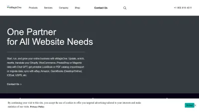 Screenshot of Emagicone.com