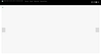 Screenshot of Bittersoutherner.com