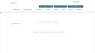 Screenshot of Whaleresearch.com