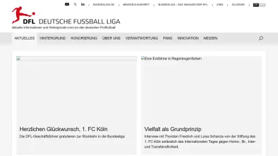 Screenshot of Dfl.de