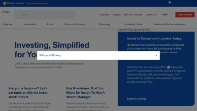 Screenshot of Geplcapital.com