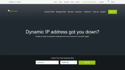 Screenshot preview of noip.com