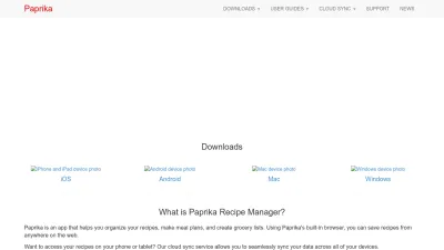 Screenshot of Paprikaapp.com