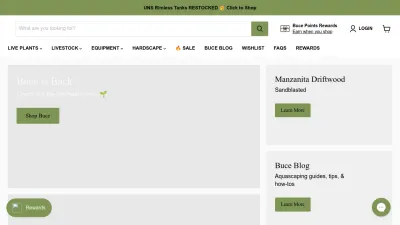 Screenshot of Buceplant.com