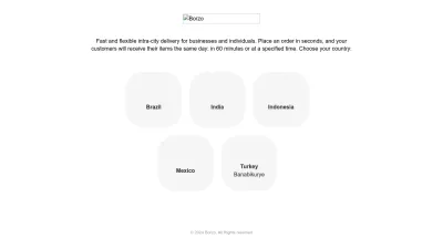 Screenshot of Borzodelivery.com