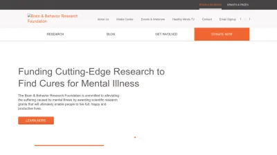 Screenshot preview of bbrfoundation.org