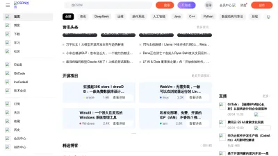 Screenshot preview of csdn.net