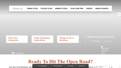 Screenshot preview of visitmt.com
