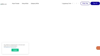 Screenshot preview of bitlo.com